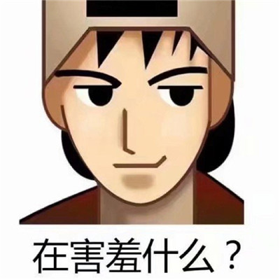 “中国乡村建设与时俱进，不断取得新成绩”
